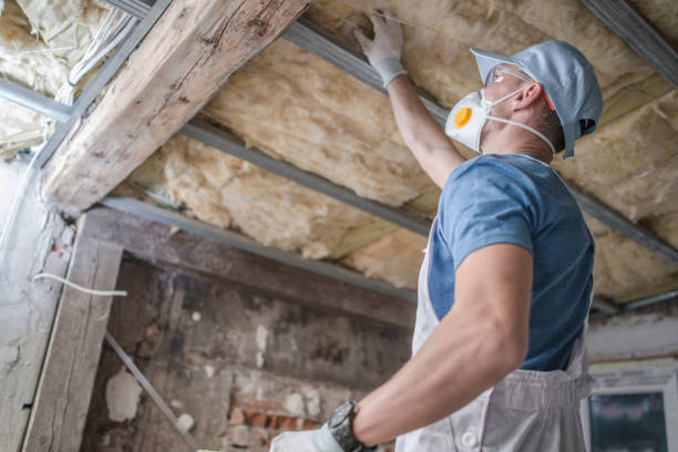 Best DIY Insulation Kits and Guidance in South Charleston, OH