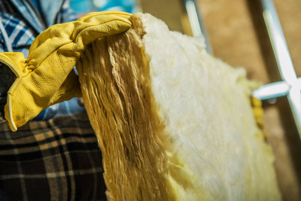 Best Eco-Friendly Insulation in South Charleston, OH